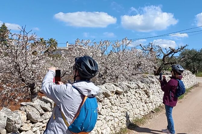 Puglia by E-Bike  - Alberobello & Locorotondo - Scenic E-Bike Routes in Puglia
