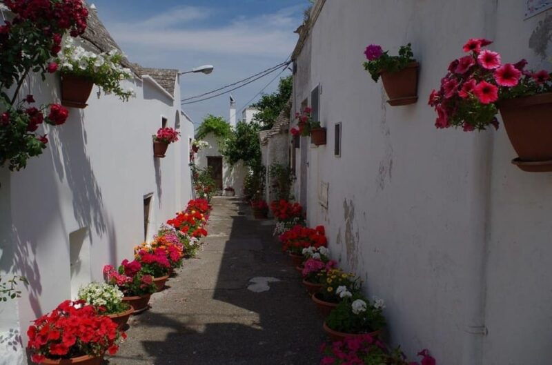 Puglia: Conversano, Alberobello and Monopoli Private Tour - Final Thoughts: Is This Tour Right for You?  