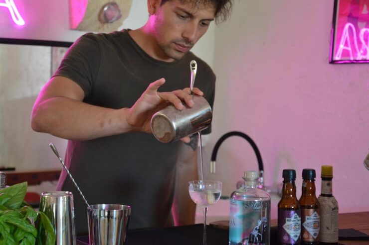 Puglia: Gin Distillery Tour in a 19TH Century Pajara - Experience Highlights