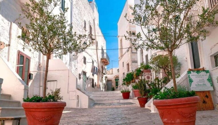 Puglia: Locorotondo, Cisternino, and Ostuni Private Tour - Practical Details and Value