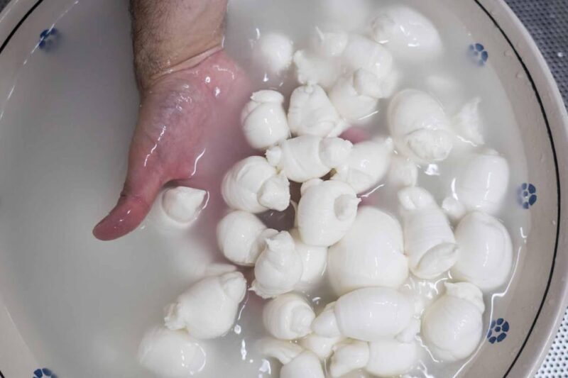 Puglia: Masseria Seppunisi Tour, Cheese, Burrata Tasting - Frequently Asked Questions