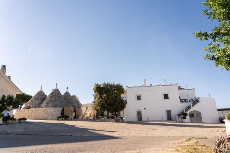 Puglia: Masseria Seppunisi Tour, Cheese, Burrata Tasting - Good To Know