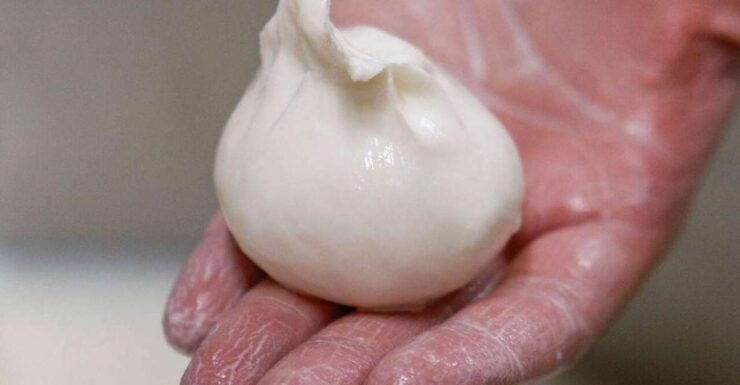 Puglia: Masseria Seppunisi Tour, Cheese, Burrata Tasting - Inclusions