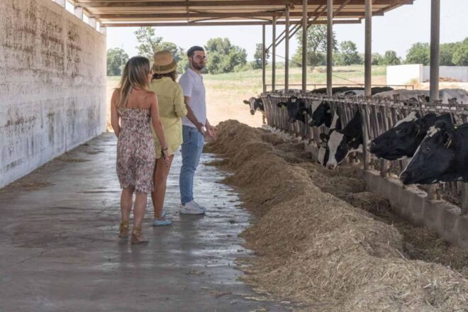 Puglia: Masseria Seppunisi Tour, Cheese, Burrata Tasting - Reviews