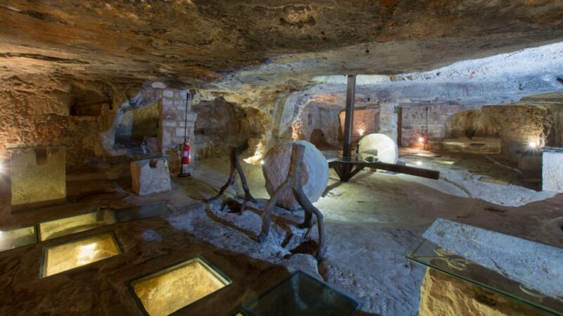 Puglia: Olive Oil Tasting Experience with Olive Grove Walk - Who Would Love This Tour?