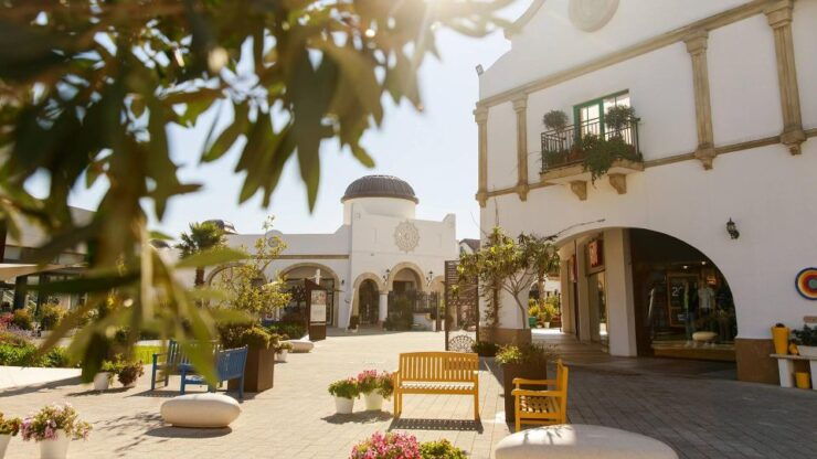Puglia Village Experience - Molfetta: With Shared Transfer - Key Activity Details
