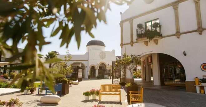 Puglia Village Experience - Molfetta: With Shared Transfer - Itinerary Overview