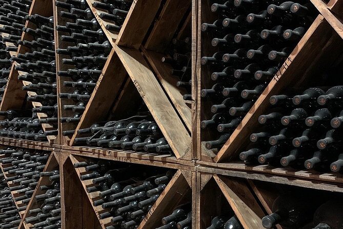 Puglia Winery Tour and Wine Tasting From Trani  - Bari - Directions