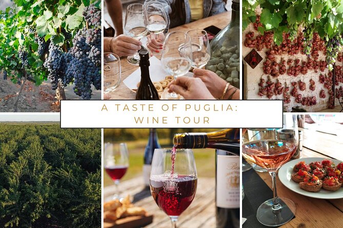 Puglia Winery Tour and Wine Tasting From Trani  - Bari - The Sum Up