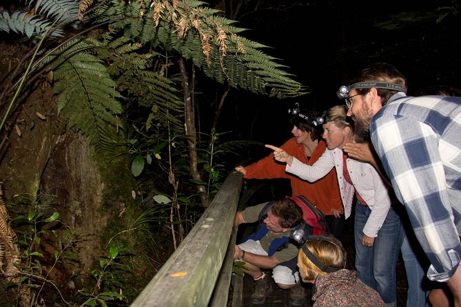 Puketi Rainforest Guided Walks .This Is Not a Shore Excursion Product . - Overview of the Tour