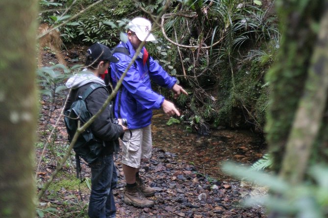 Puketi Rainforest Guided Walks .This Is Not a Shore Excursion Product . - Common Questions