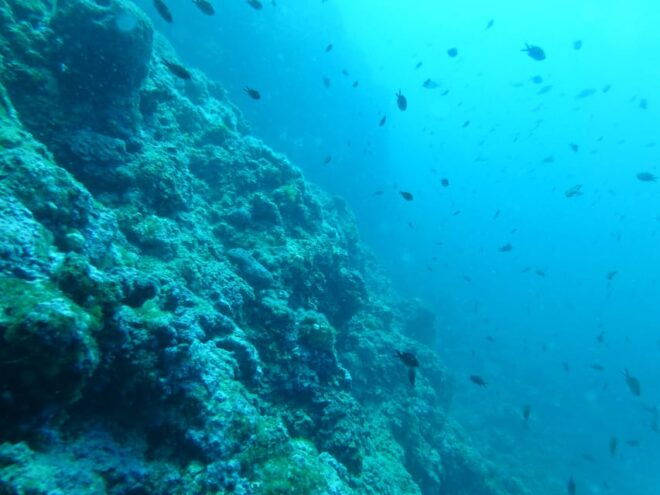 Pula: 2.5-Hour Snorkelling Experience - Customer Feedback and Ratings