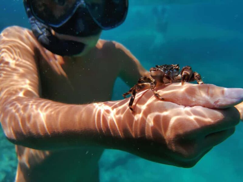 Pula Adventure: Snorkeling Boat Trip & Cliff Jumping - Experience Overview