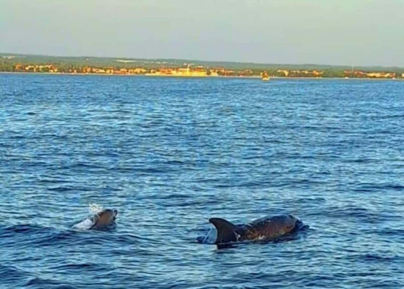 Pula: Boat Tour with Swimming and Snorkeling - Exploring the Istrian Coast by Boat