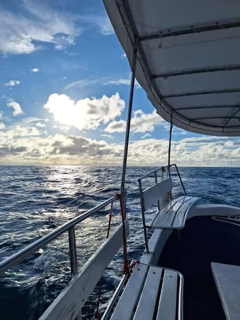 Pula: Boat Tour with Swimming and Snorkeling - The Sum Up