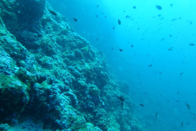 Pula Boat Trip With Snorkeling - Whats Included in the Package