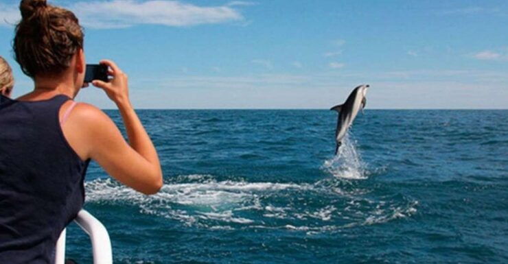Pula: Brijuni National Park & Jerolim Island Dolphin Cruise - Booking and Logistics