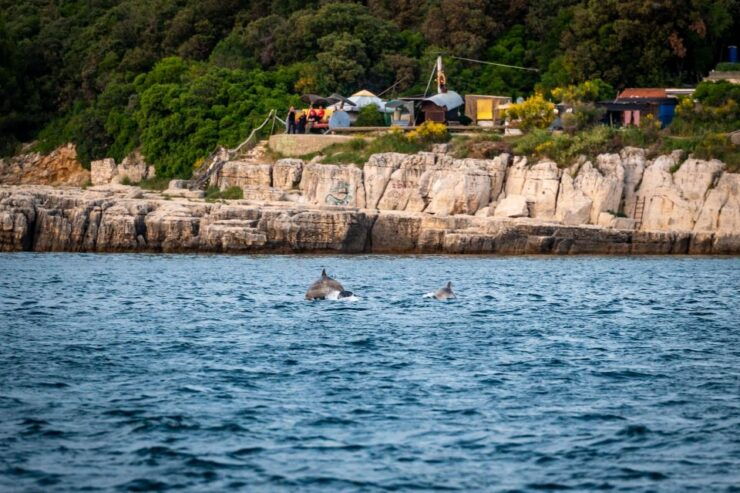 Pula: Brijuni National Park Sunset, Dolphins & Dinner Cruise - Activity Details