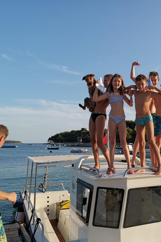 Pula Dolphin Watching Boat Trip - What to Expect on the Dolphin Watching Trip