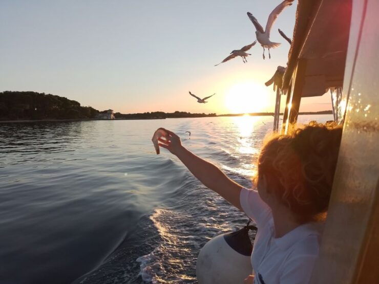 Pula: Dolphin-Watching Cruise at Sunset With Dinner & Drinks - Experience Details