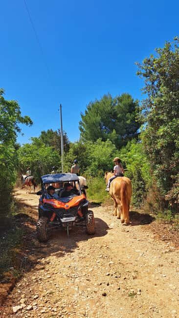 Pula: Family Buggy 4-seater 2.5h Kamenjak Tour & Safari Bar - Exploring Cape Kamenjak on a Family Buggy