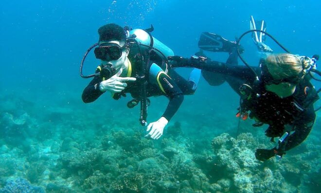 Pula: Introduction to Scuba Diving - Instructor Qualifications and Group Dynamics