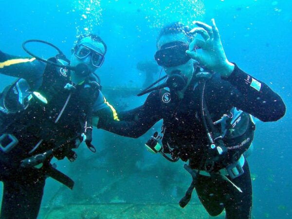 Pula: Introduction to Scuba Diving - Marine Life Encountered