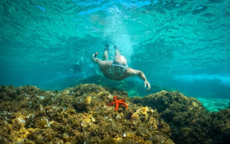 Pula: Kayaking,Snorkeling, Cliff jumping Tour with Wetsuit - Who Is This Tour Best For?