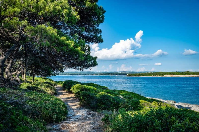 Pula: National Park Brijuni/2 swimming stops/lunch/drinks - Authentic Insights from Reviews