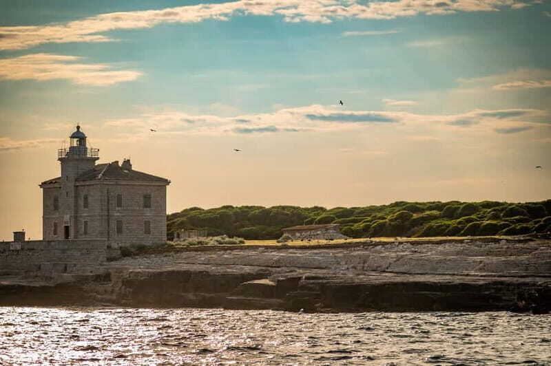 Pula: National Park Brijuni/2 swimming stops/lunch/drinks - Is This Tour Worth the Price?