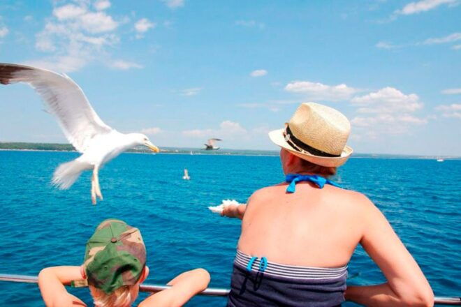 Pula: National Park Brijuni Island Visit & Dolphin Cruise - Inclusions