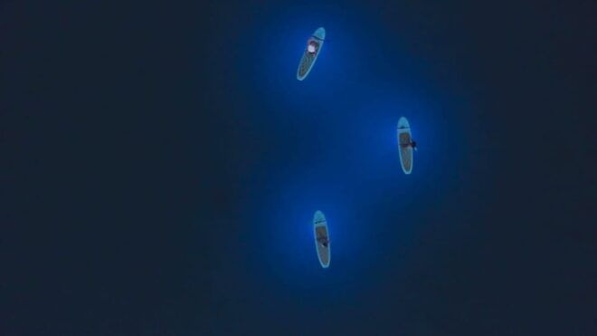 Pula: Night LED Stand-Up Paddle Board Tour - Customer Reviews and Ratings