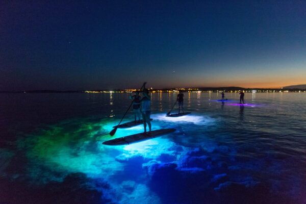 Pula: Night LED Stand-Up Paddle Board Tour - Booking and Cancellation Policies