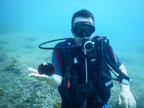 Pula: Private Introduction to Scuba Diving - What to Expect During the Dive