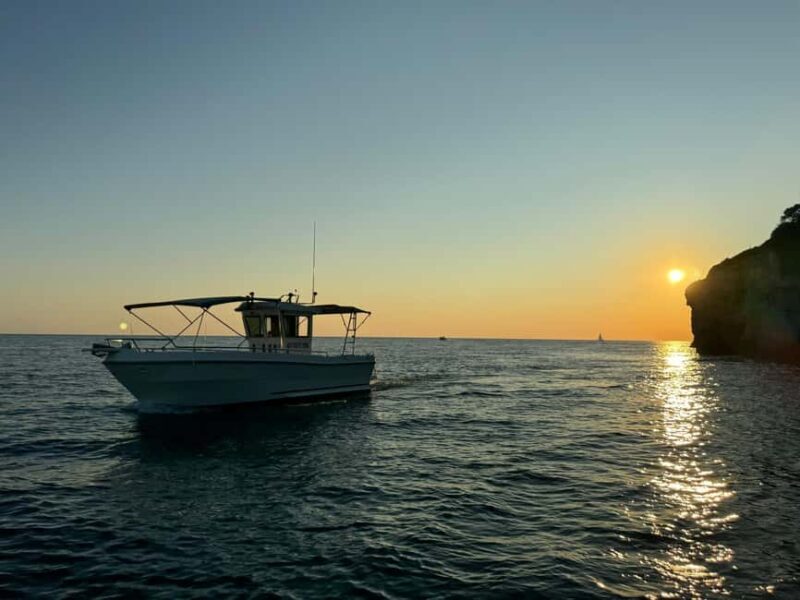 Pula: Sunset Dolphin Watching Boat Tour around N.P Brijuni - An In-Depth Look at the Sunset Dolphin Watching Tour