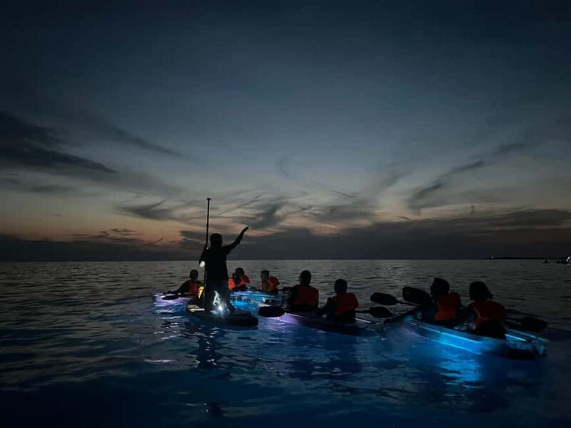 Pula: Sunset/Night Illuminated Transparent Kayak Tour - Who Is This Tour Perfect For?