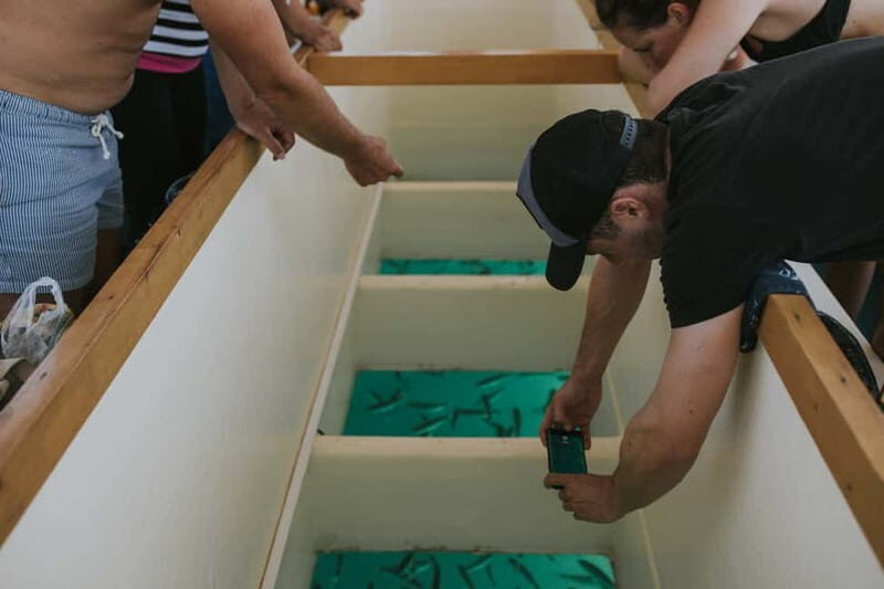 Pula Verudela: Glass-Bottom Boat and Swim with Fish Tour - Exploring the Itinerary in Detail