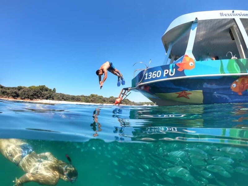 Pula Verudela: Glass-Bottom Boat and Swim with Fish Tour - Who Is This Tour Best For?