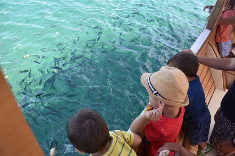 Pula Verudela: Glass-Bottom Boat and Swim with Fish Tour - Final Thoughts