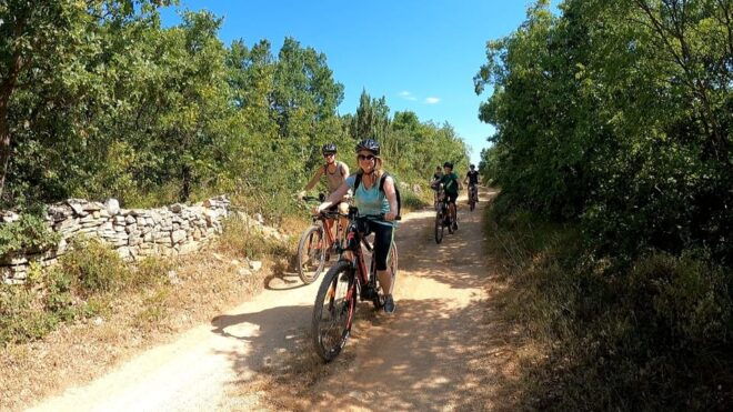 Pula-Vodnjan-Rovinj: E-Bike Tour With Traditional Dinner - Participant Restrictions