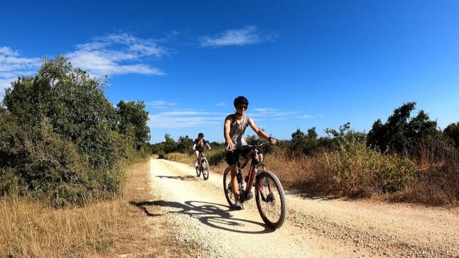 Pula-Vodnjan-Rovinj: E-Bike Tour With Wine Tasting - Itinerary Details