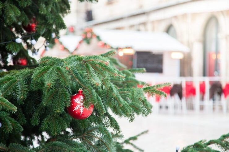 Pula's Winter Wonders: A Christmas Journey Through Time - Itinerary Highlights