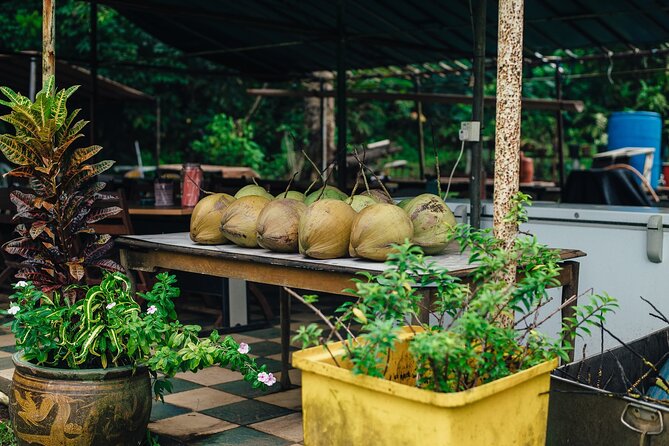 Pulau Ubin Singapore Day Tour - Additional Information and Contact
