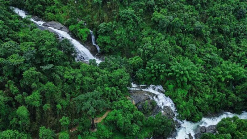 Pullikanam : Tea Estate Tour from Kochi  Closer than Munnar - An Authentic Peek into Kerala’s Scenic Side