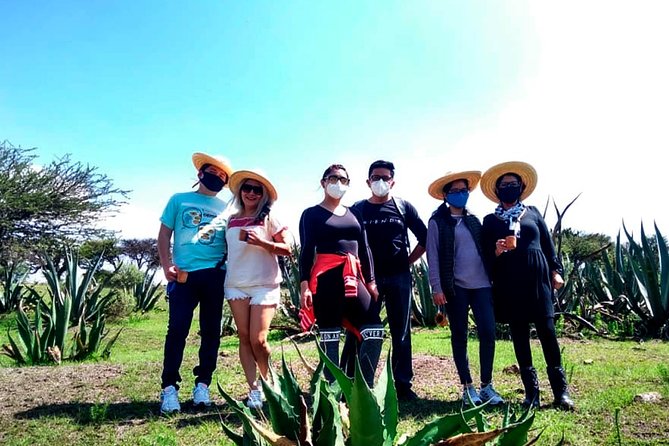 Pulque Tour in Tepotzotlán, Magical Town - Start Time and Punctuality