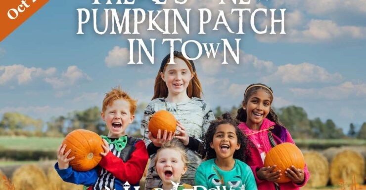Pumpkin Patch Entry Ticket - Sept 2024 - Experience Highlights