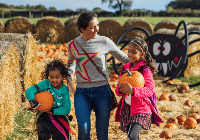 Pumpkin Patch Entry Ticket - Sept 2024 - Interact With Animals