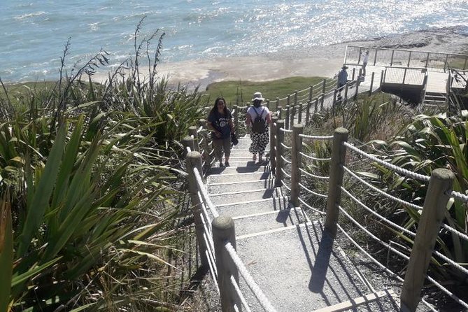 Punakaiki Blow Holes & Pancake Rocks Scenic Tour - Inclusions and Additional Information