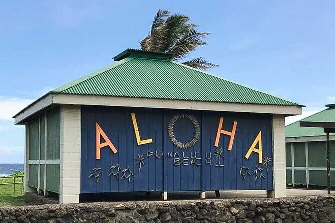 Punaluu Black Sand Beach Tour - Volcanoes National Park & Hilo - Good To Know