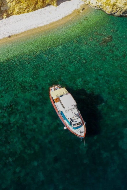 Punat, Cruise and Swim at Golden Beach and Blue Cave - Wildlife Spotting Opportunities